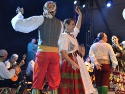 Festival de Folkore en Mula